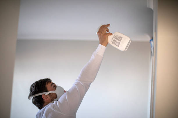 Best Fast Mold Removal  in Kirby, TX