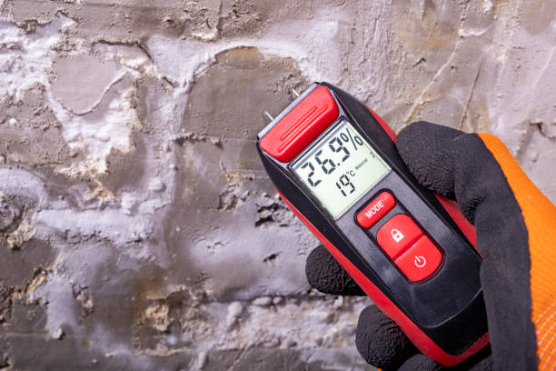 Best Emergency Mold Removal  in Kirby, TX