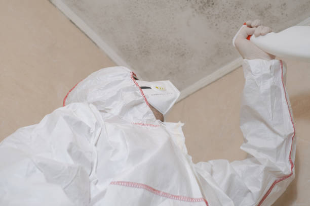 Best Residential Mold Removal  in Kirby, TX