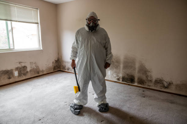 Water Damage Restoration in Kirby, TX
